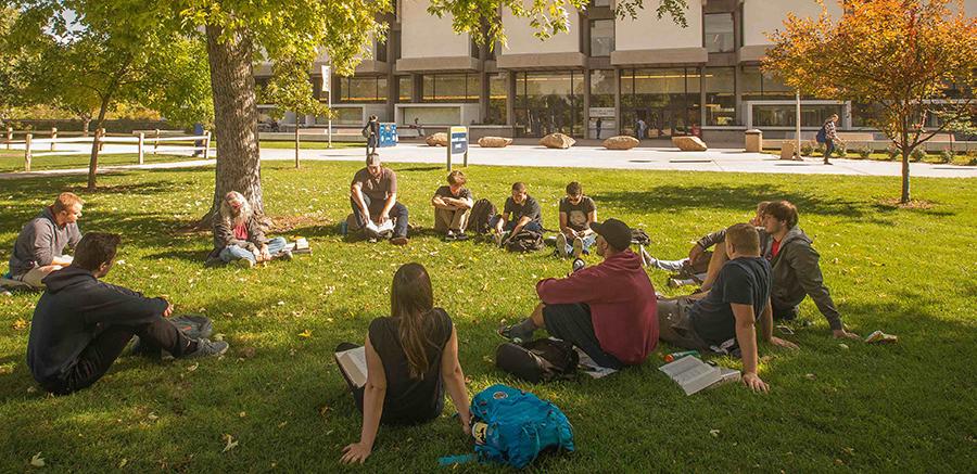 一群学生围成一圈坐在外面的树下
